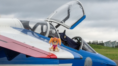 Pat'patrouille : Comment Stella s'est retrouvée dans un Alpha Jet de la Patrouille de France ?