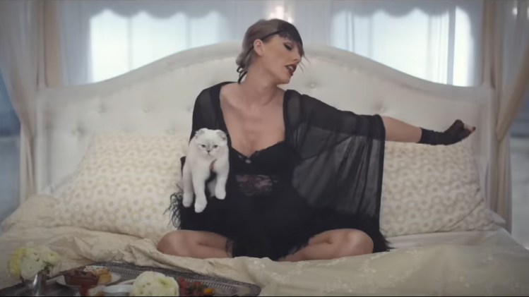 Olivia Benson, le chat de Taylor Swift, a fait une apparition remarquée dans le clip Blank Space