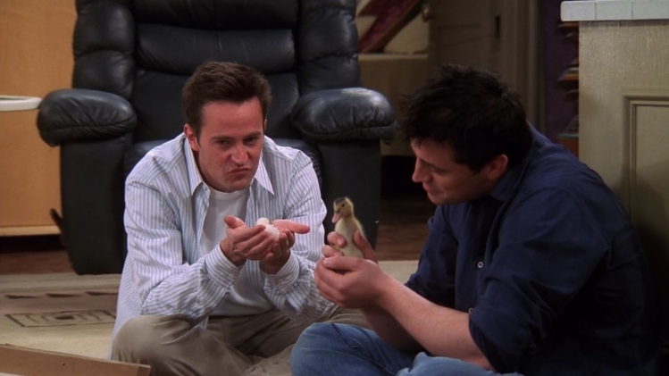 Dans la saison 5, Chandler Bing (Matthew Perry) adopte un poussin qui donne lieu. Un épisode qui donne lieu à l