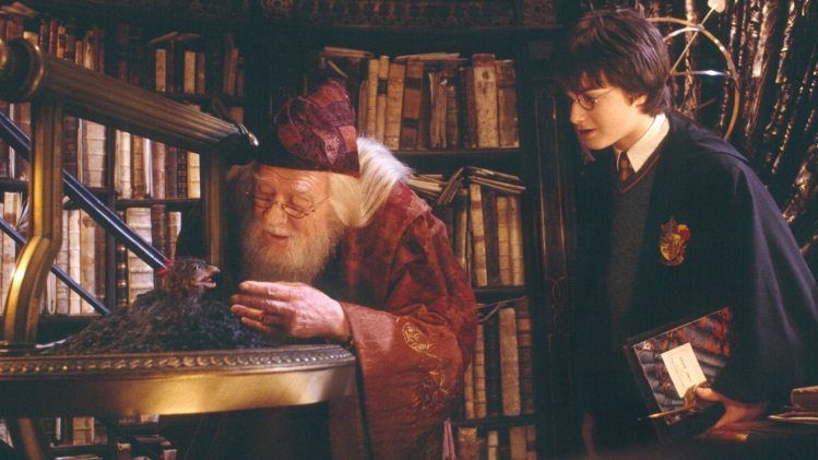 La nuit des livres Harry Potter commence ce soir dans 350 librairies de France et se termine le dimanche 5 février