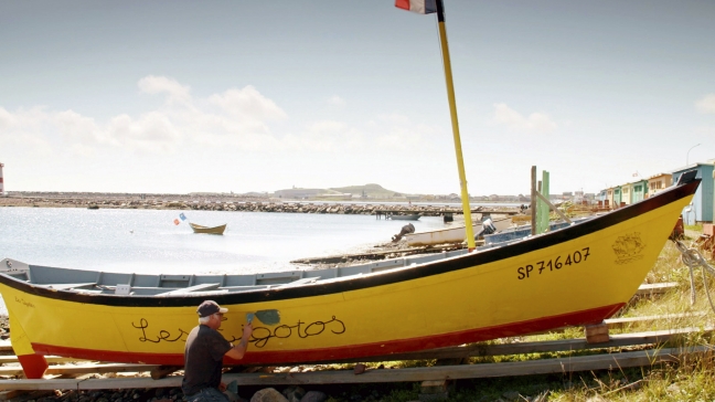 Découvrez la beauté de l'archipel de Saint-Pierre-et-Miquelon sur Arte.