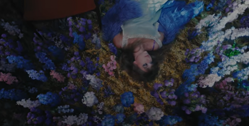 Champ de fleurs dans le clip Lavender Haze Taylor Swift