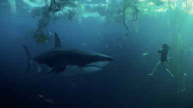 Sous la Seine : le film de requins bat tous les records