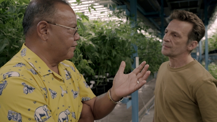 Mathieu Kassovitz dans le documentaire Cannabis.