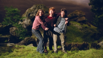 La franchise Harry Potter continue de passionner les fans, des années plus tard. 