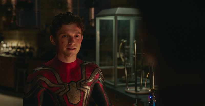Tom Holland tient le rôle principal dans Spider-Man : No Way Home